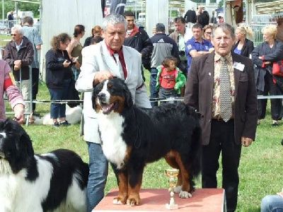 Heaven blue De la truffe en quercy