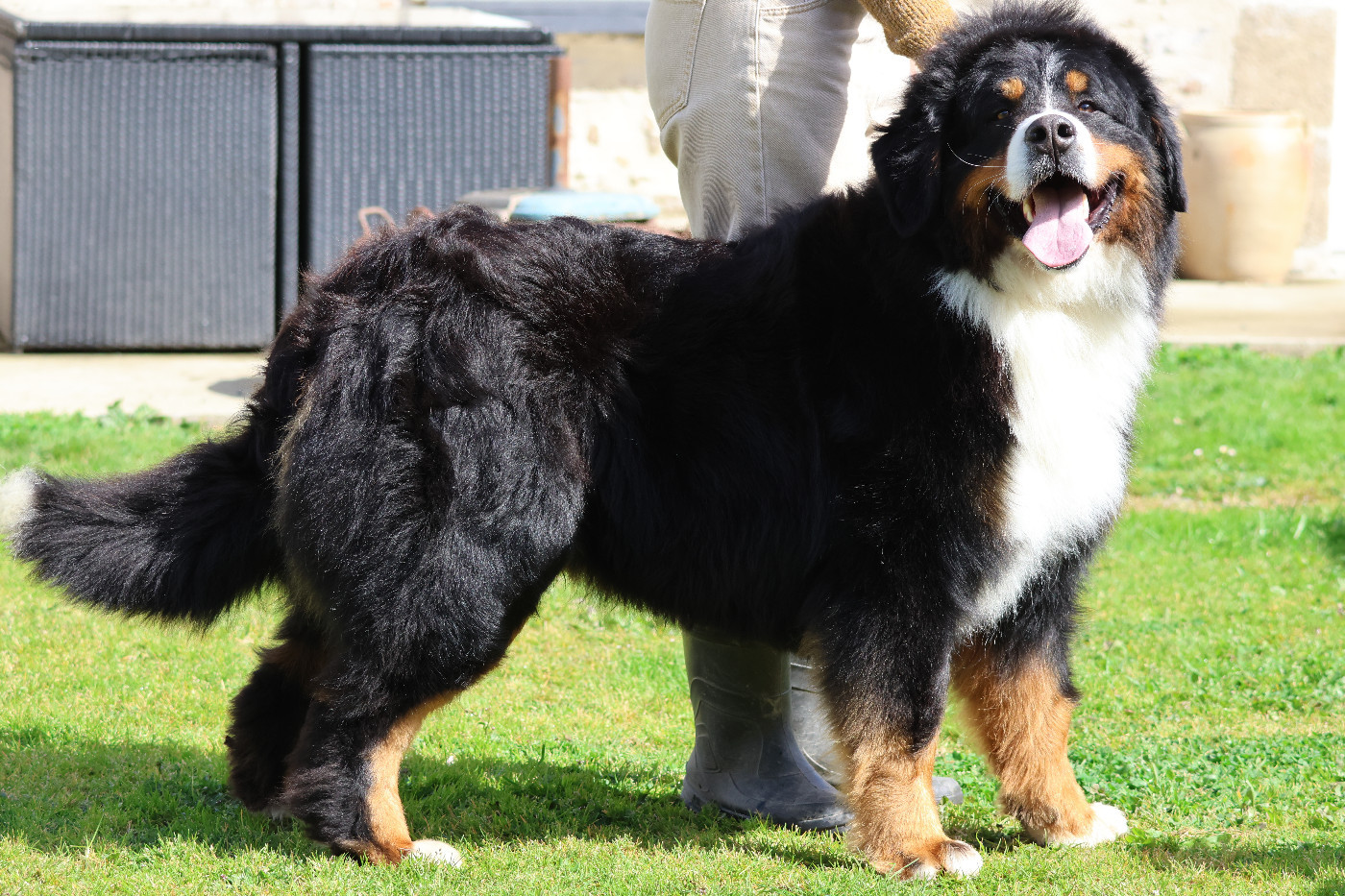 Toto africa De La Cathedrale Des Ours